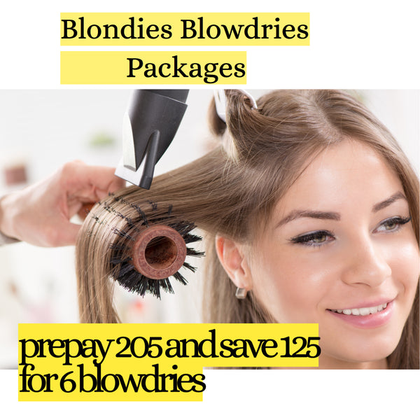 Prepay and Save-Blow Dry Package of 6